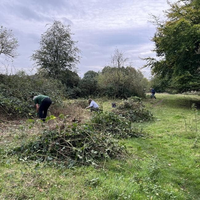 Work party volunteers